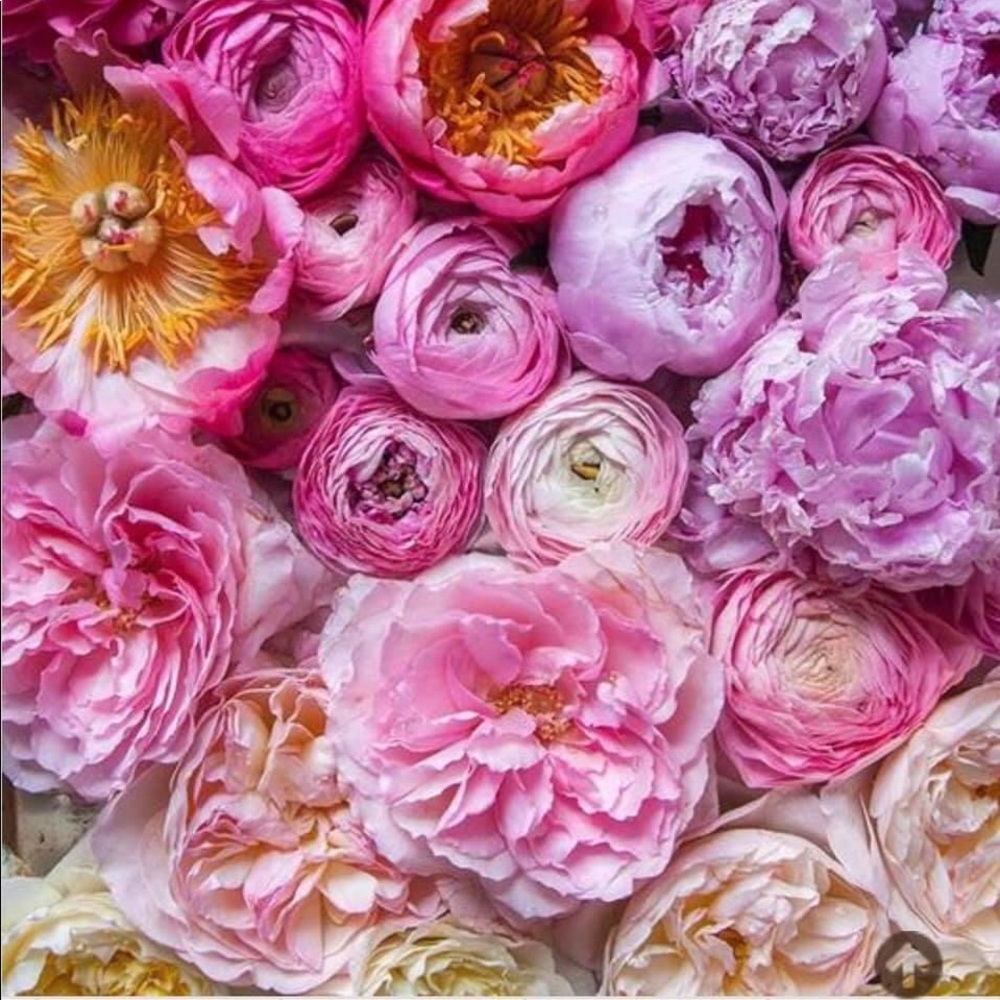 Meet your Posher, Kyla